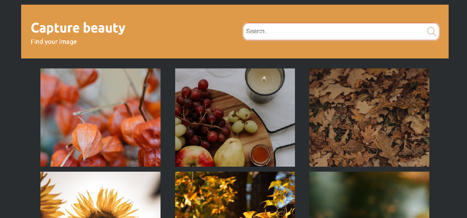 image-gallery